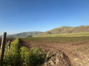 Vista desde el cerco hacia los cerros