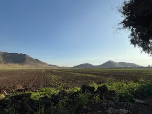 Vista panorámica del valle con cerros a ambos lados