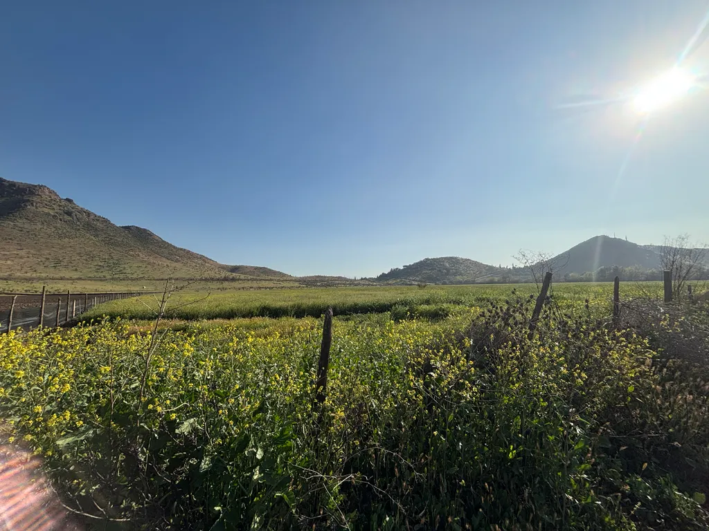 Vista panorámica del terreno en Chicureo