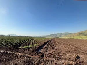 Terreno con surcos agrícolas y montañas al fondo
